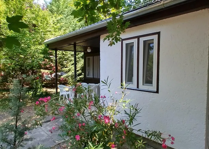 Gesztenyes Ueduelo Apartament