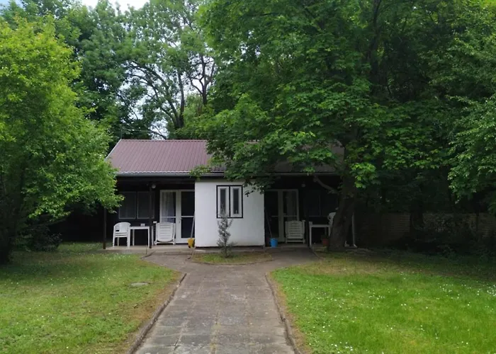 Gesztenyes Ueduelo *