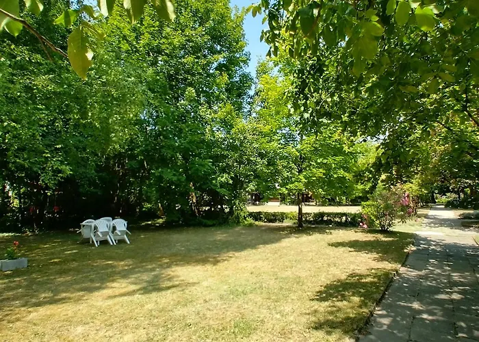 Gesztenyes Ueduelo * Balatonudvari